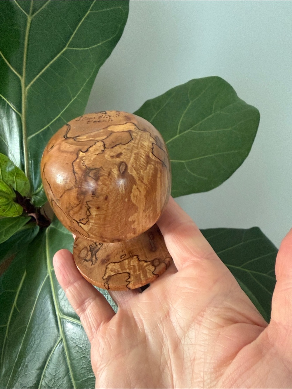Hand-Carved Spalted Wood Decorative Mushroom - Natural Brown